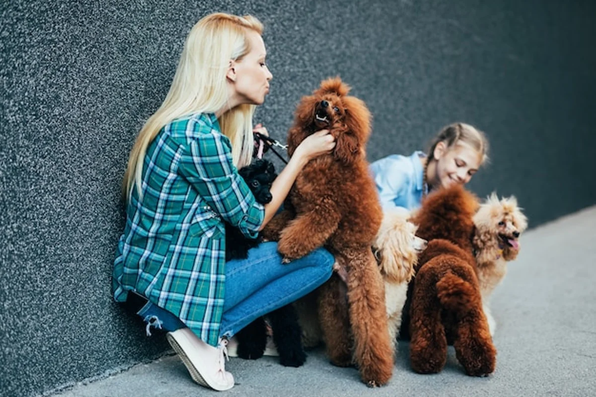 Matka i córka spacerują z pudlami po ulicy miasta