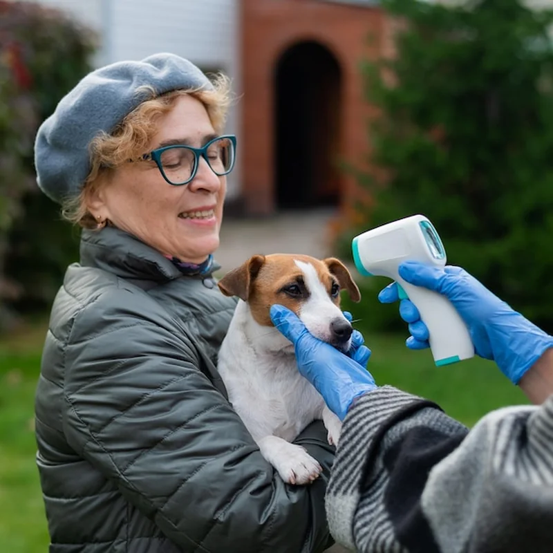 Kim jest behawiorysta? Czym zajmuje się behawiorysta zwierząt?