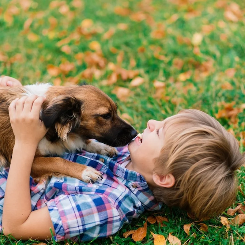Najłagodniejsze psy dla dziecka – przyjazne rasy psów