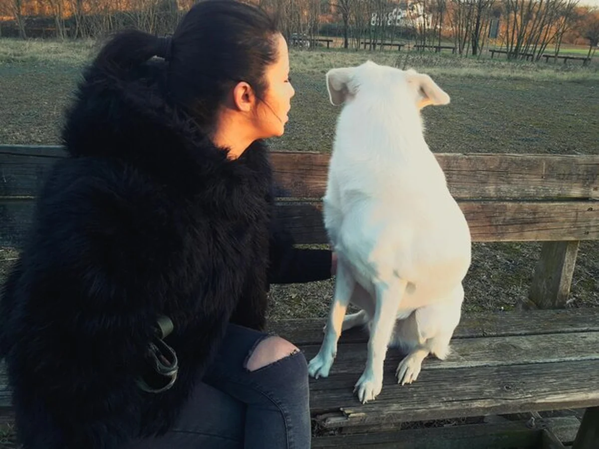 Kobieta siedząca przy psie na ławce w parku