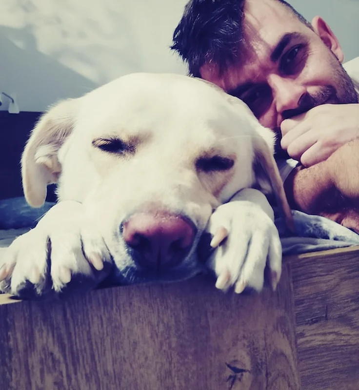 Portret psa i człowieka w domu z bliska