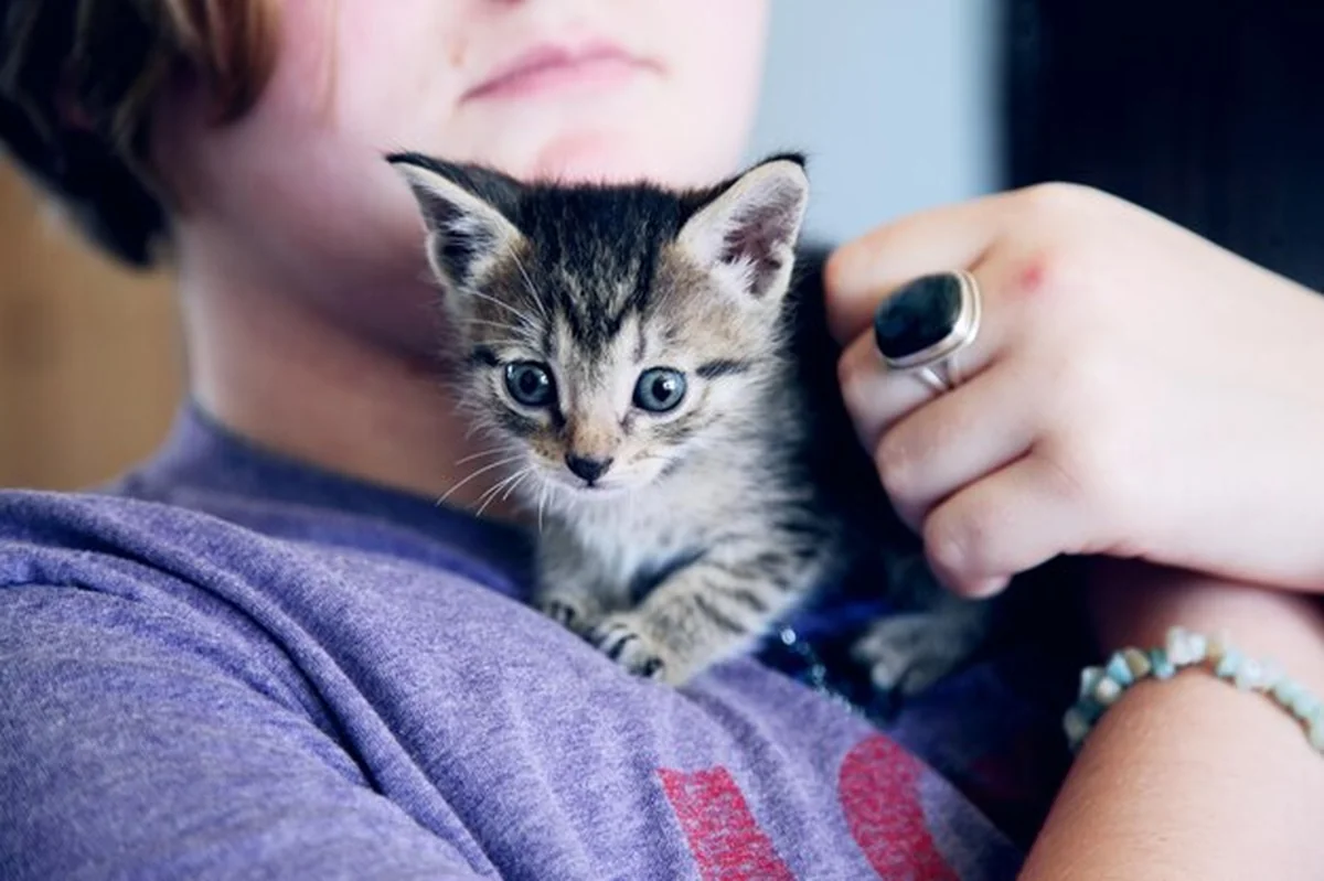 Kobieta trzymająca kota