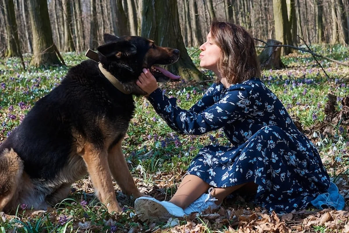 Kobieta bawiąca się psem w lesie wiosną