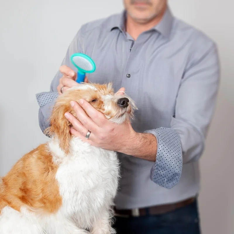 Pies podczas pielęgnacji