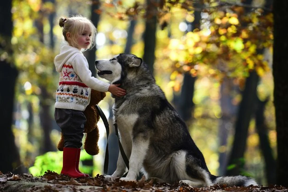 Dziecko spacerujące z psem w parku w jesieni