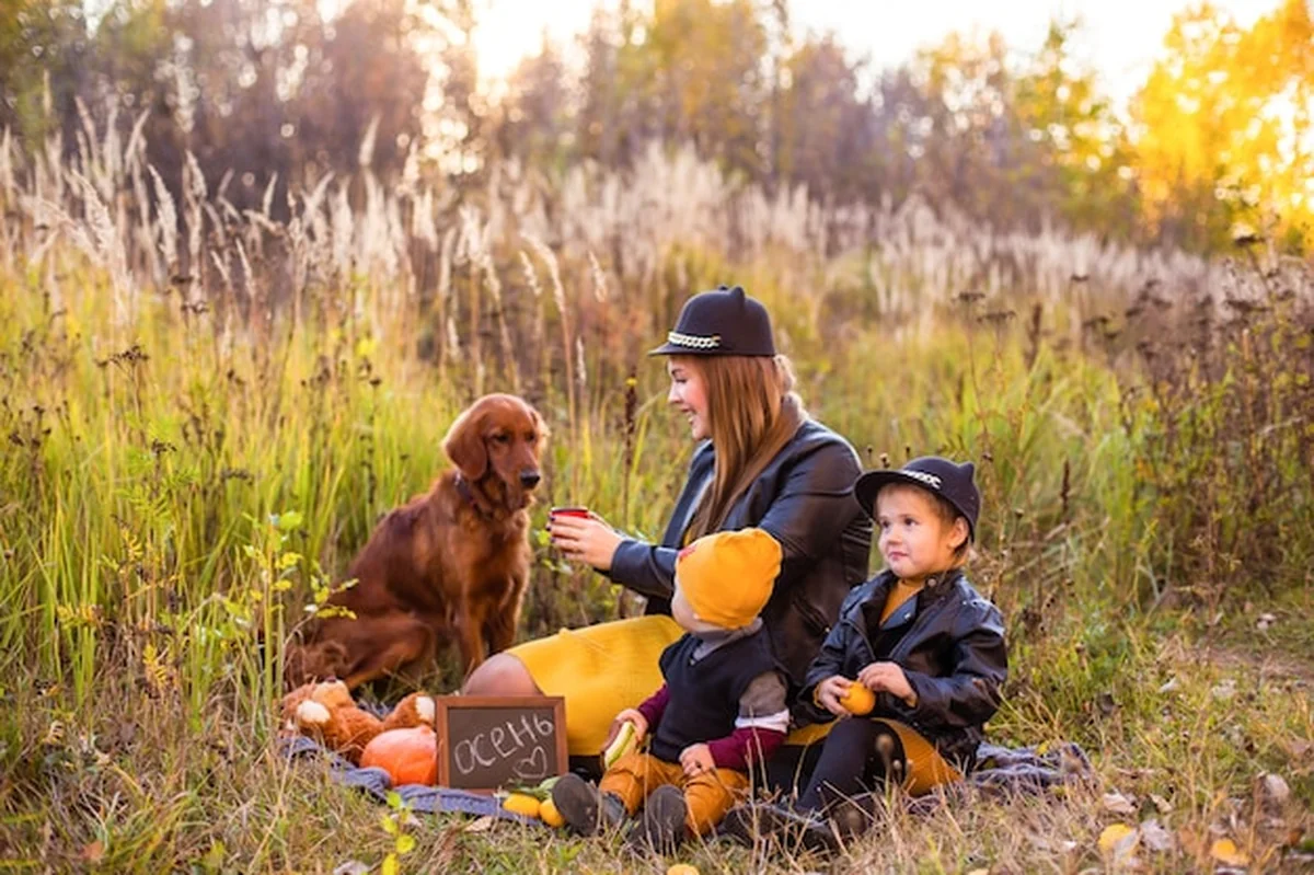 Piękna rodzina z psem golden retriever na spacerze w jesiennej słonecznej przyrodzie