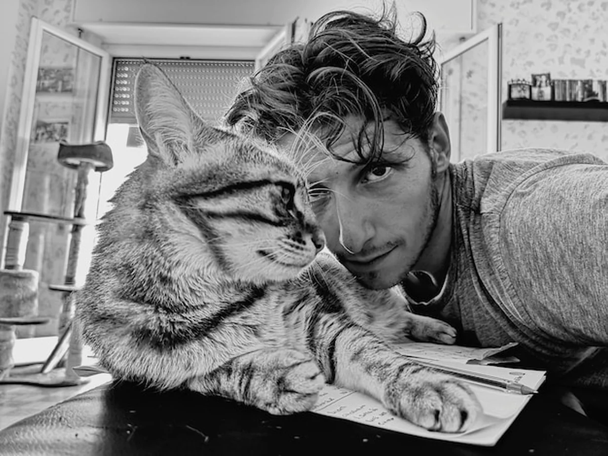 Portret człowieka przez kota