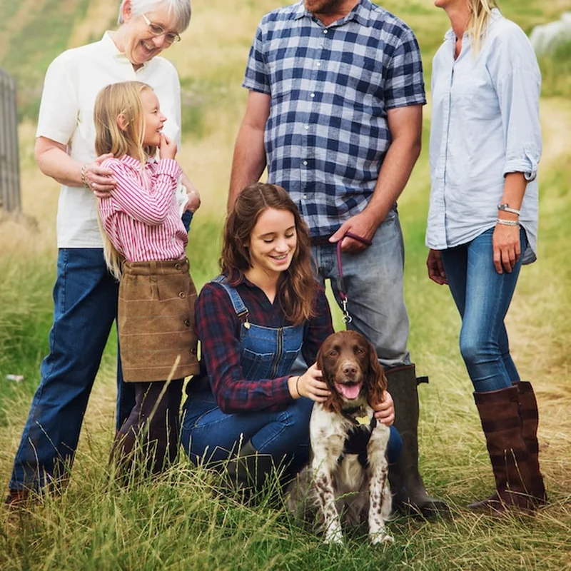 Mądry pies do domu – jakie rasy są najlepsze dla rodzin?