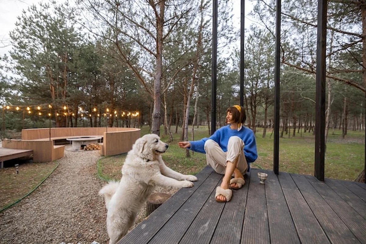 Kobieta z psem odpoczywa obok drewnianej chałupy w przyrodzie