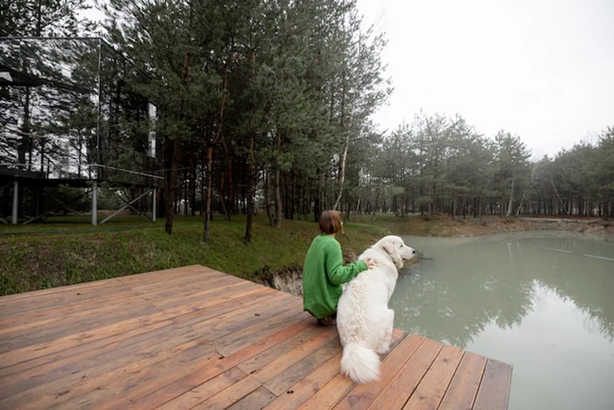 Kobieta z psem na molo nad jeziorem w sosnowym lesie