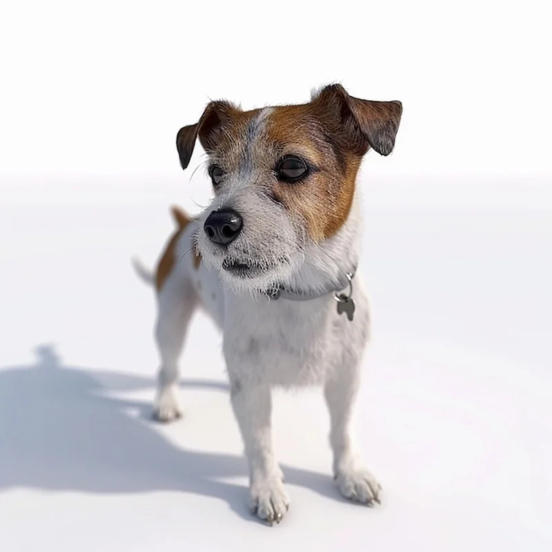 Pies z filmu Maska – Jack Russell Terrier w roli głównej