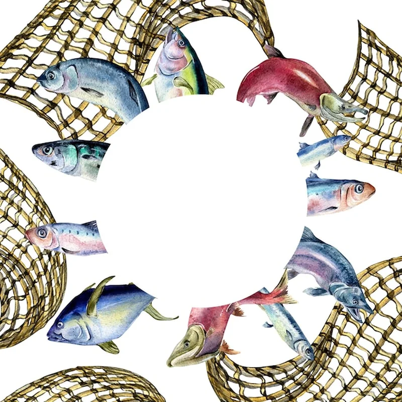 Rama różnych świeżych ryb morskich na białym tle