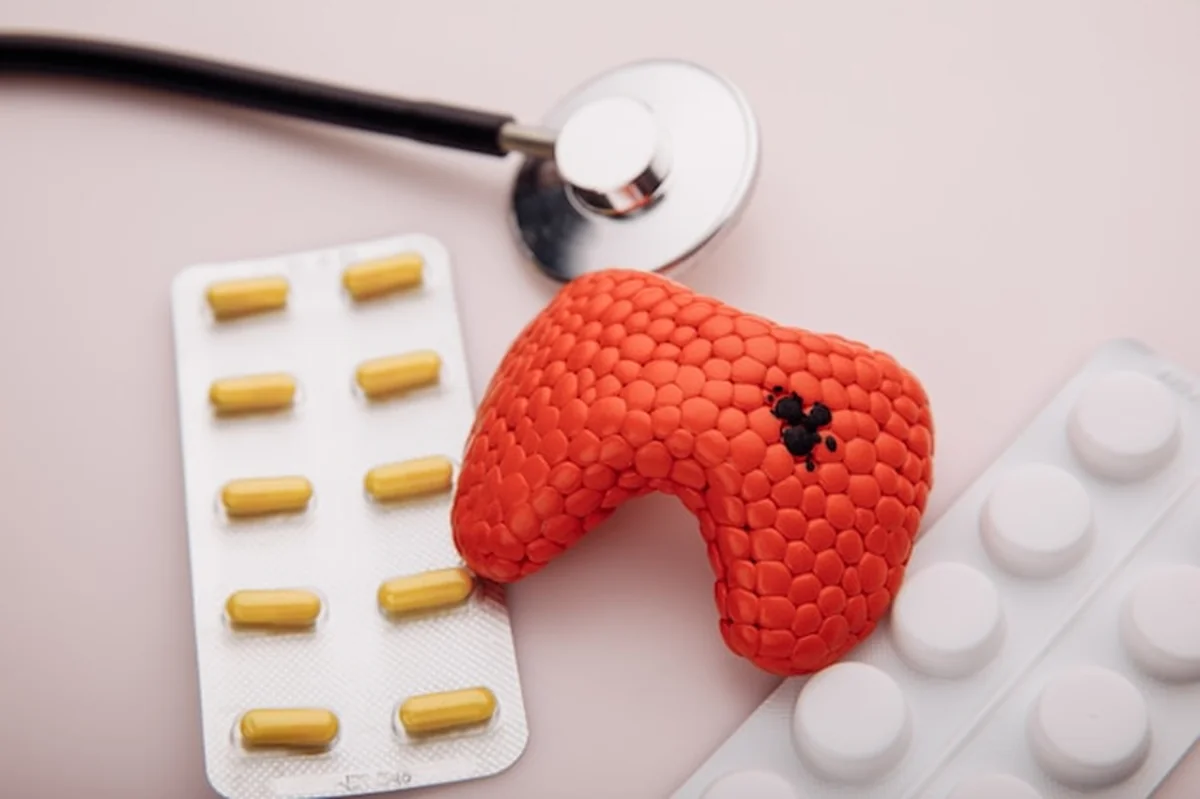 Model zbliżenia organów w leczeniu chorób tarczycy