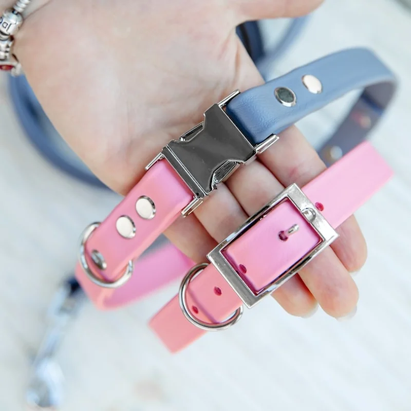 Zestaw obroży i smyczy dla psa - akcesoria dla zwierząt i sprzęt do chodzenia