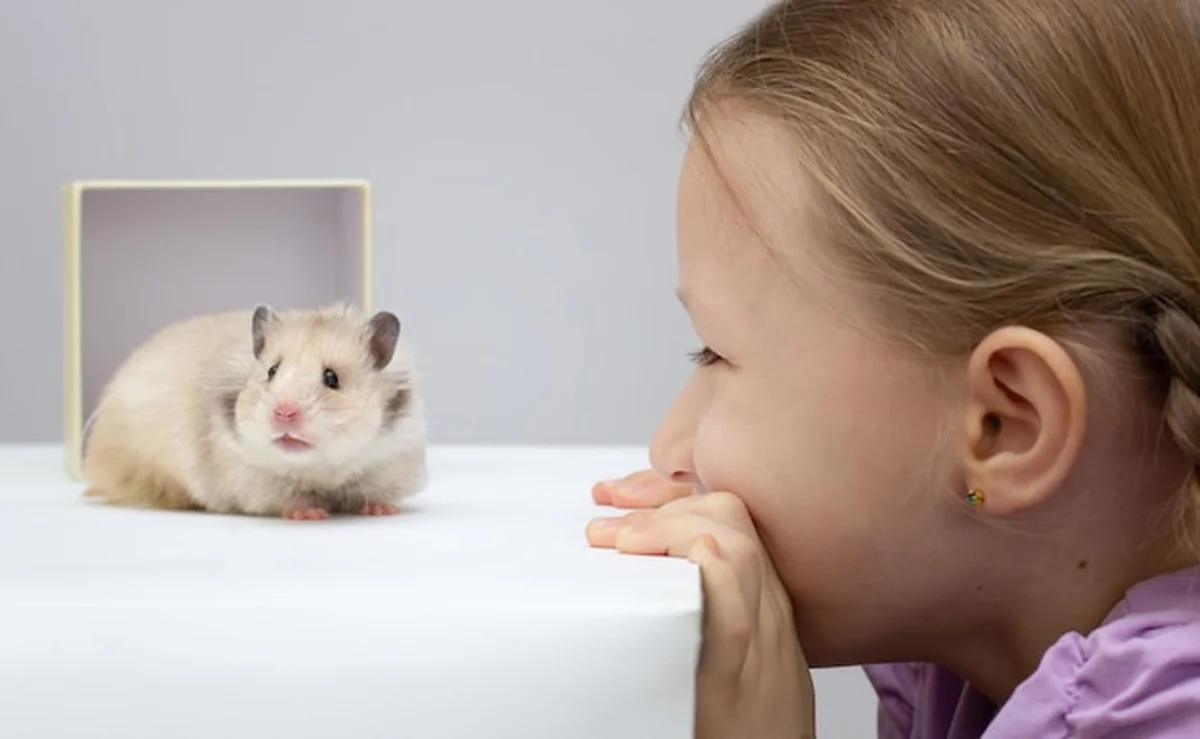 Mała dziewczynka trzyma chomika w ręce