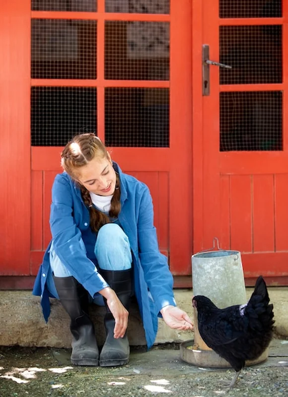 Farmerka karmiąca kurczaki