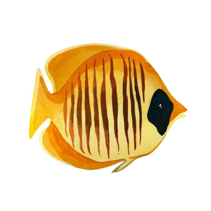 Ryba na M – alfabetyczny spis ryb do odkrycia